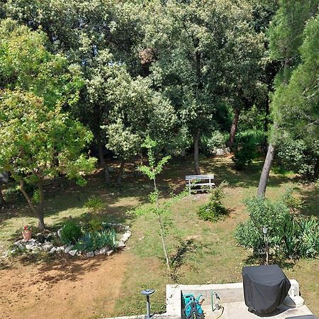 Marta Apartment Rovinj Bagian luar foto