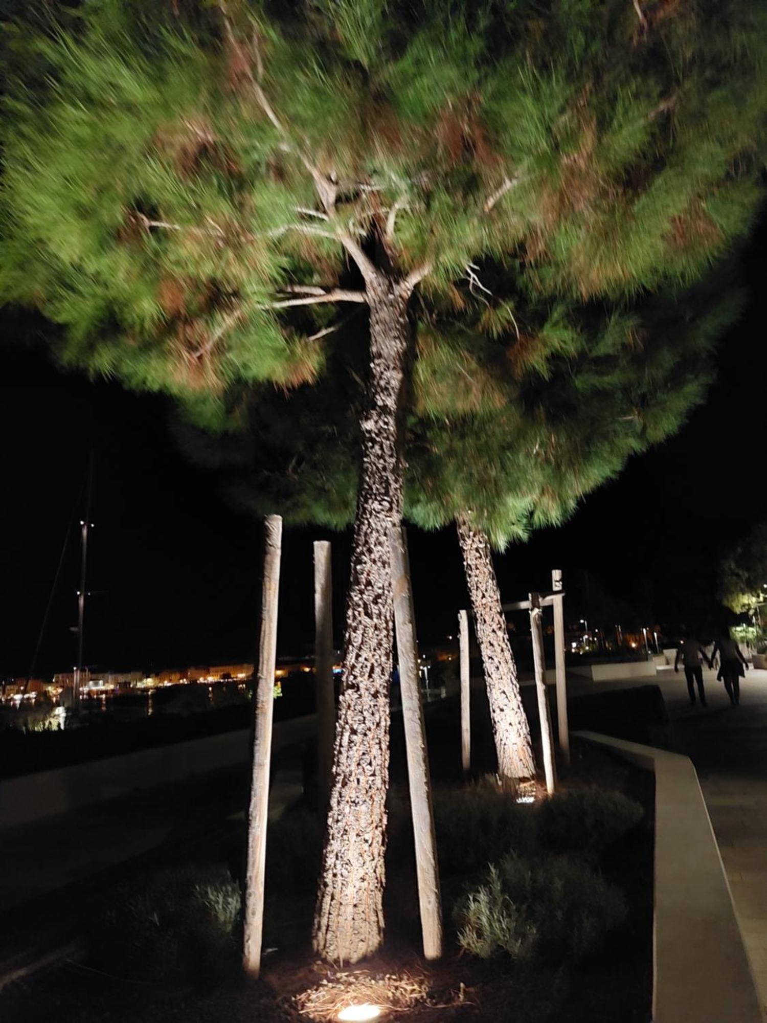 Marta Apartment Rovinj Bagian luar foto