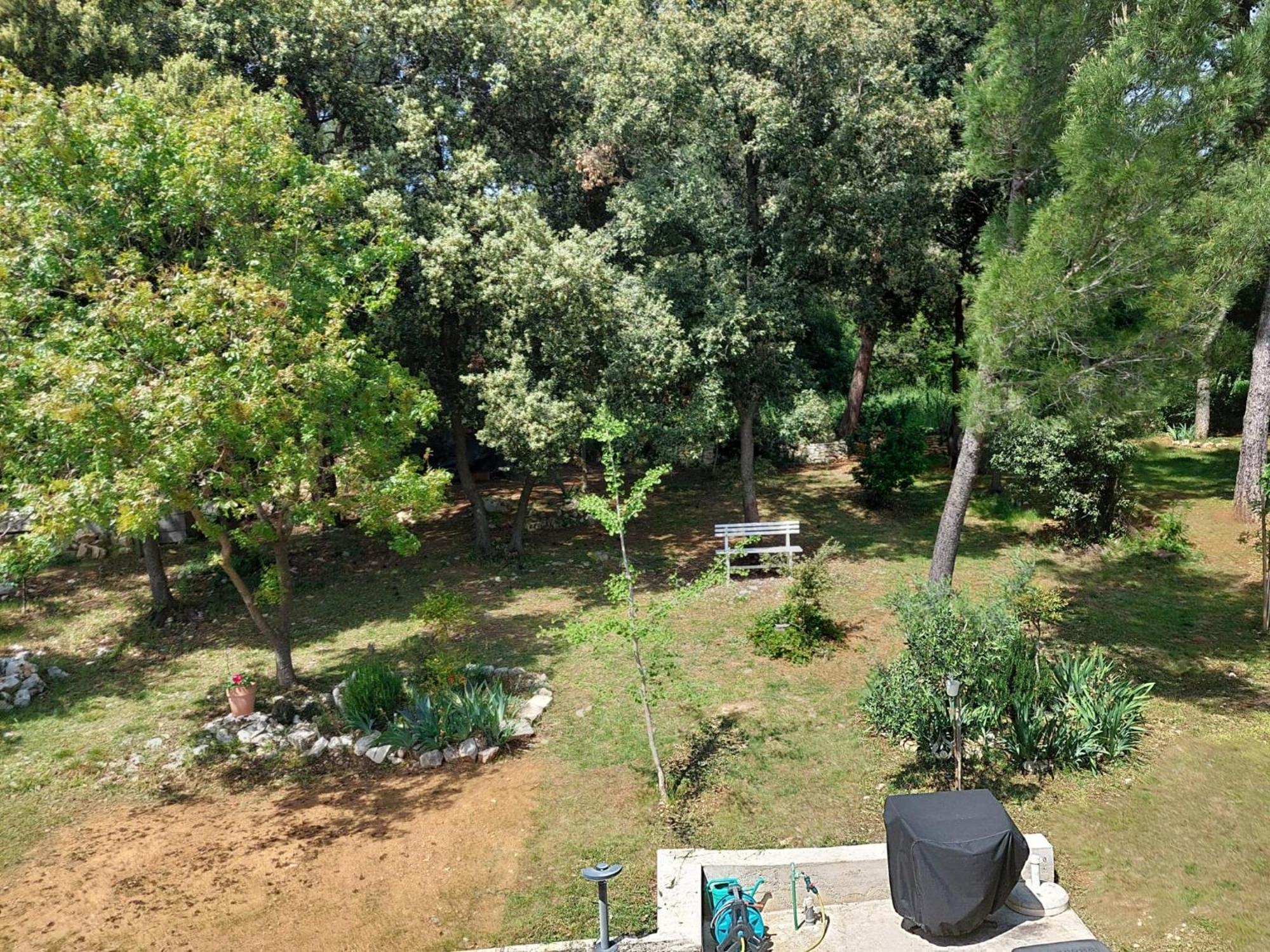Marta Apartment Rovinj Bagian luar foto