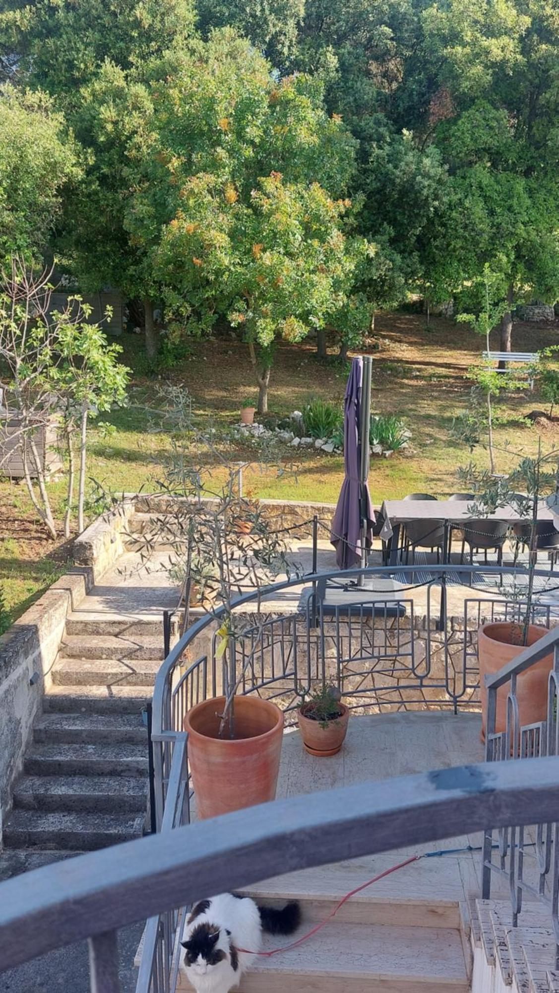 Marta Apartment Rovinj Bagian luar foto